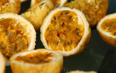 Mehr Mut zur Wahrheit