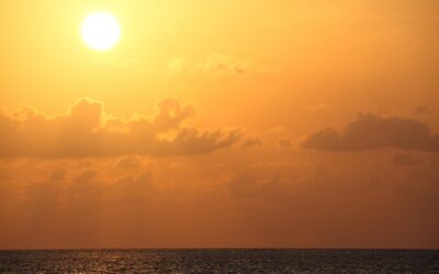 Spanisch – Die unterschätzte Bedeutung bei der Domainwahl