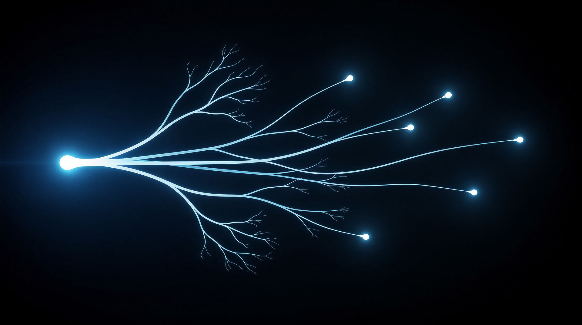 The Hundredth Article: What One Domain Set in Motion